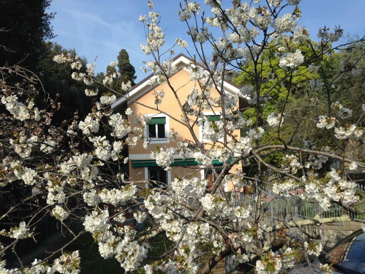 B&B La Rosa Segreta Genua Zewnętrze zdjęcie